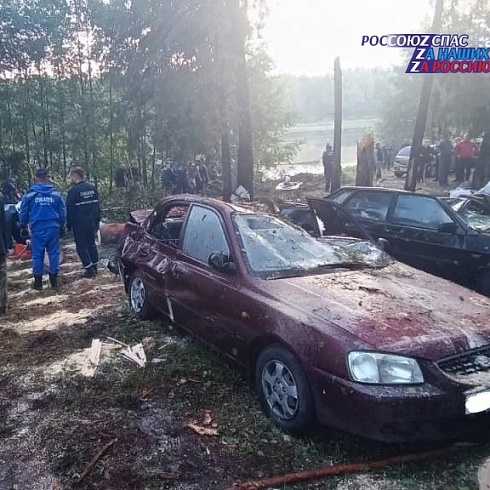 В Волжском районе рядом с озером Яльчик завалило деревьями палаточные городки и подъездные дороги