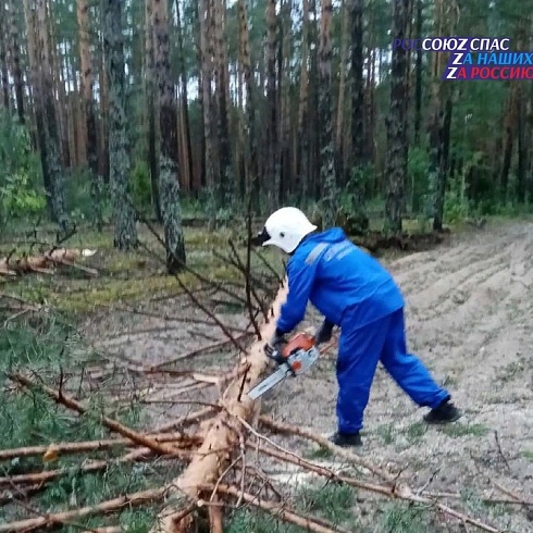 Спасатели Марий Эл расчистили дорогу от упавших деревьев