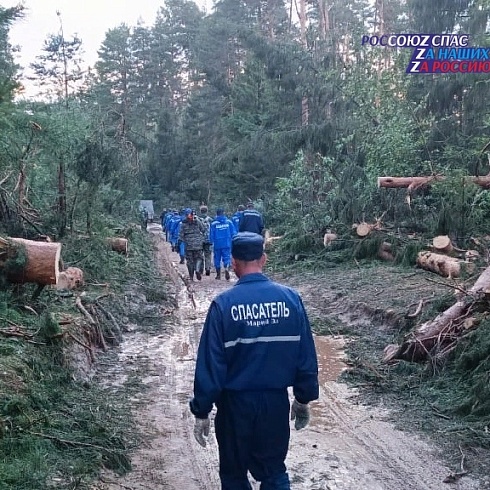 В Волжском районе рядом с озером Яльчик завалило деревьями палаточные городки и подъездные дороги