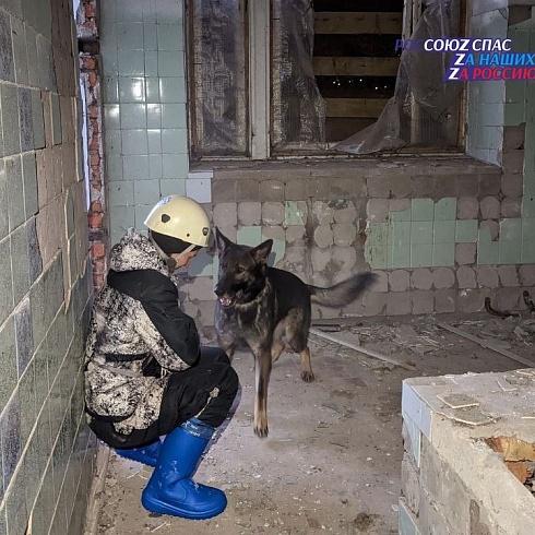 Рязанские собаки-спасатели тренировались искать людей в техногенном завале